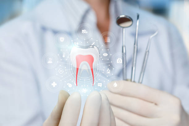 Best Traditional Braces  in Sisco Heights, WA